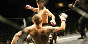 MMA termer? Find svaret på dine spørgsmål her