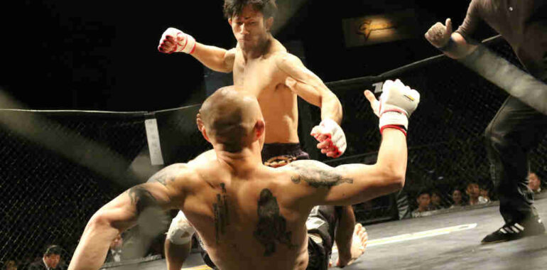 MMA termer? Find svaret på dine spørgsmål her