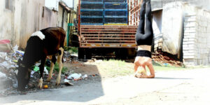Hvad er Ashtanga yoga?