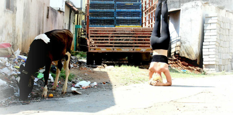 Hvad er Ashtanga yoga?