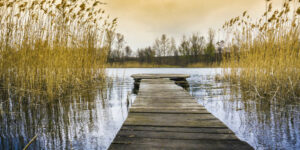 Apollo Hybrid AR Rower romaskine – Bedste ro oplevelse til god pris