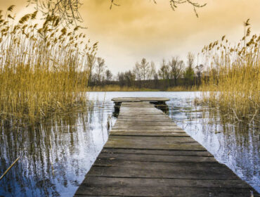 Apollo Hybrid AR Rower romaskine – Bedste ro oplevelse til god pris