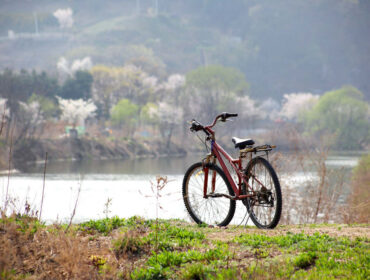 Hvorfor cykling er den gode motion for dig?