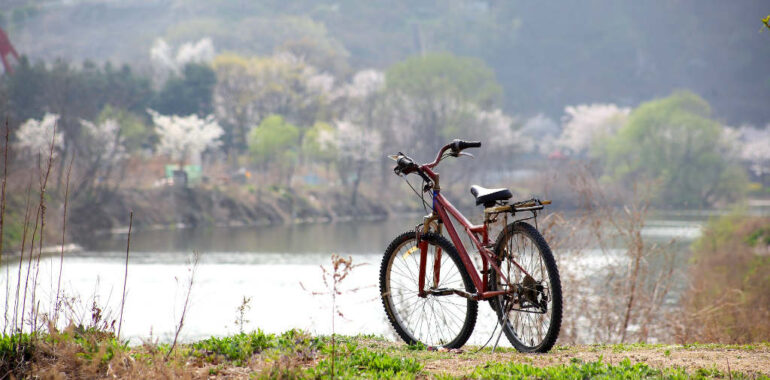 Hvorfor cykling er den gode motion for dig?