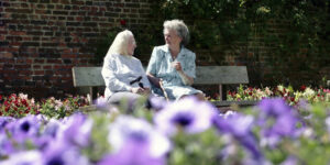 Køb en god stok til ældre